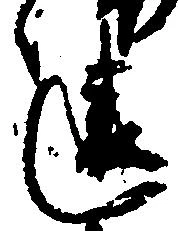 位置 確認된 違
