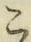 文字こ