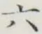 글자 六