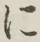 글자 に