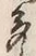 글자 多
