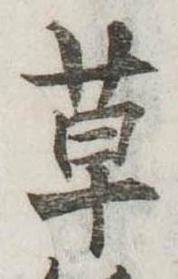 位置定マレル草