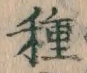 글자 種