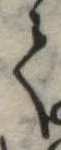 𛁳 위치 확인됨