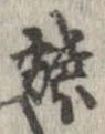 已定位蝶