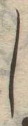 𛁅 위치 확인됨