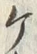 “ケ”字