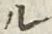 𡨸ル