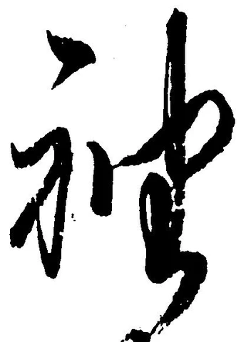 已定位袖