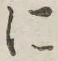 글자 に