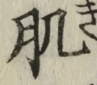 文字肌