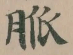 脈の位置