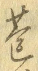 蓬の位置