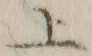 字上