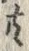 글자 共