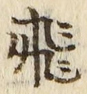 文字飛