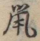 鼠 위치 확인됨