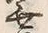 글자 無