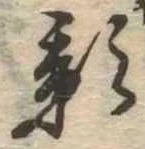 影 위치 확인됨