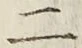 文字 二