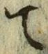 字て