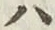 字ハ