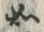 文字如