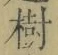 글자 樹