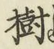 글자 樹