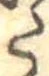 Đã định vị 𛁠