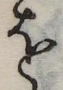 𛄜の位置