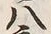 글자 八