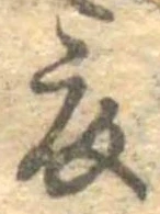 已定位衣