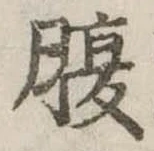 腹 위치 확인됨