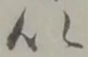 以 위치 확인됨