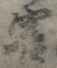 位置 確認된 害