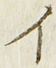 「イ」字