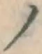 字ノ