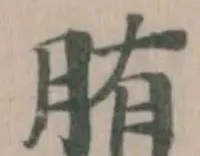 𦛒の位置