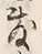 Chữ 敷