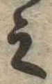 之 위치 확인됨