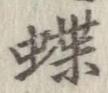 蝶 위치 확인됨