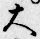大 위치 확인됨