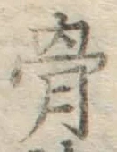 文字骨