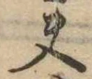 夫，已得其位