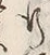 字行