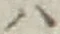 字ハ