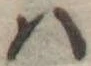 𛂞の位置