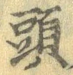 頭 위치 확인됨