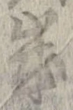 歳 위치 확인됨